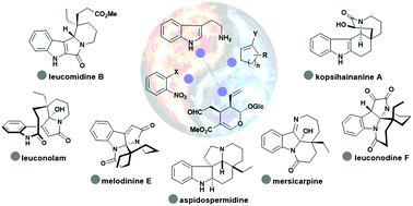 Graphical abstract: Metamorphosis of cycloalkenes for the divergent total synthesis of polycyclic indole alkaloids