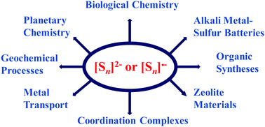 Graphical abstract: The role of polysulfide dianions and radical anions in the chemical, physical and biological sciences, including sulfur-based batteries