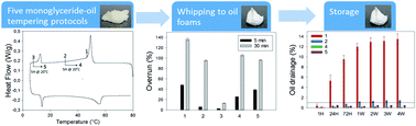 Graphical abstract: Food-grade monoglyceride oil foams: the effect of tempering on foamability, foam stability and rheological properties