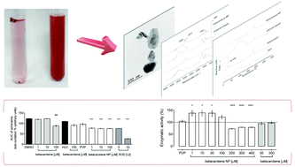 Graphical abstract: Nanodispersions of beta-carotene: effects on antioxidant enzymes and cytotoxic properties