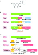 Graphical abstract: Cardioprotective effects of dihydroquercetin against ischemia reperfusion injury by inhibiting oxidative stress and endoplasmic reticulum stress-induced apoptosis via the PI3K/Akt pathway