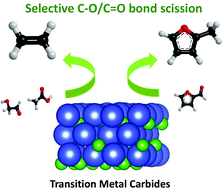 Graphical abstract: Hydrodeoxygenation of biomass-derived oxygenates over metal carbides: from model surfaces to powder catalysts