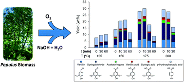 Graphical abstract: Revisiting alkaline aerobic lignin oxidation