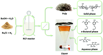 Graphical abstract: Catalytic lignocellulose biorefining in n-butanol/water: a one-pot approach toward phenolics, polyols, and cellulose