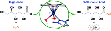 Graphical abstract: Iridium complexes catalysed the selective dehydrogenation of glucose to gluconic acid in water