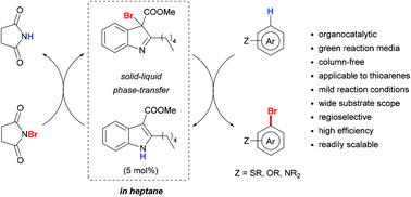 Graphical abstract: Environmentally benign indole-catalyzed position-selective halogenation of thioarenes and other aromatics