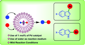Graphical abstract: A micellar catalysis strategy applied to the Pd-catalyzed C–H arylation of indoles in water
