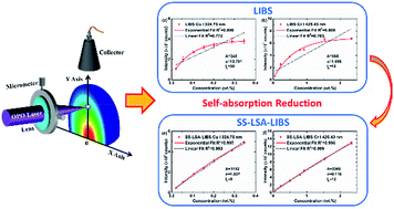 Graphical abstract: Investigation on self-absorption reduction in laser-induced breakdown spectroscopy assisted with spatially selective laser-stimulated absorption