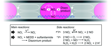 Graphical abstract: Nitrate measurement in droplet flow: gas-mediated crosstalk and correction
