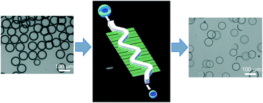 Graphical abstract: Scalable production of double emulsion drops with thin shells