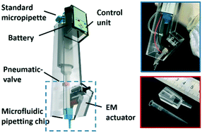 Graphical abstract: High-precision digital droplet pipetting enabled by a plug-and-play microfluidic pipetting chip