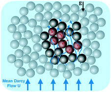 Graphical abstract: Soil granular dynamics on-a-chip: fluidization inception under scrutiny