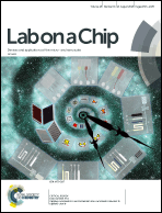 Graphical abstract: Front cover