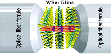 Graphical abstract: Tungsten diselenide for all-fiber lasers with the chemical vapor deposition method