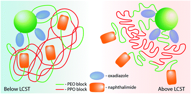 Graphical abstract: Temperature responsive nanoparticles: poloxamers as a modulator of Förster resonance energy transfer (FRET)