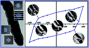 Graphical abstract: Direct observation of dynamical magnetization reversal process governed by shape anisotropy in single NiFe2O4 nanowire