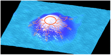 Graphical abstract: Surface functionalisation significantly changes the physical and electronic properties of carbon nano-dots