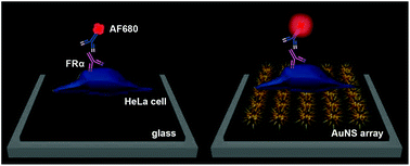 Graphical abstract: Towards multiplexed near-infrared cellular imaging using gold nanostar arrays with tunable fluorescence enhancement