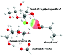 Graphical abstract: A QM/MM approach on the structural and stereoelectronic factors governing glycosylation by GTF-SI from Streptococcus mutans