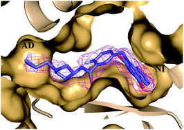 Graphical abstract: Discovery of quinazoline-2,4(1H,3H)-dione derivatives as novel PARP-1/2 inhibitors: design, synthesis and their antitumor activity