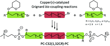 Graphical abstract: Synthesis and aggregation behaviour of single-chain, 1,32-alkyl branched bis(phosphocholines): effect of lateral chain length