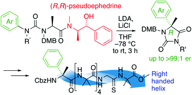 Graphical abstract: α-Methyl phenylglycines by asymmetric α-arylation of alanine and their effect on the conformational preference of helical Aib foldamers