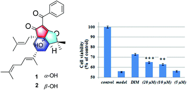 Graphical abstract: Hypermonins A and B, two 6-norpolyprenylated acylphloroglucinols with unprecedented skeletons from Hypericum monogynum