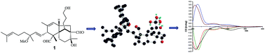 Graphical abstract: Belamchinenin A, an unprecedented tricyclic-fused triterpenoid with cytotoxicity from Belamcanda chinensis