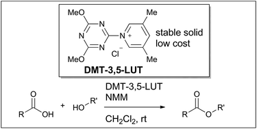Graphical abstract: Development of triazine-based esterifying reagents containing pyridines as a nucleophilic catalyst