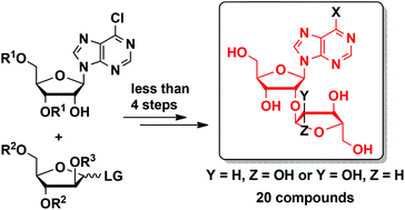 Graphical abstract: Synthesis of disaccharide nucleoside analogues as potential poly(ADP-ribose) polymerase-1 inhibitors