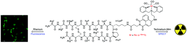 Graphical abstract: A dual modality 99mTc/Re(i)-labelled T140 analogue for imaging of CXCR4 expression