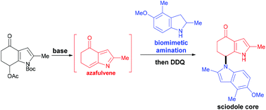 Graphical abstract: Biomimetic synthesis of the bisindole framework present in sciodole, an alkaloid from Tricholoma sciodes