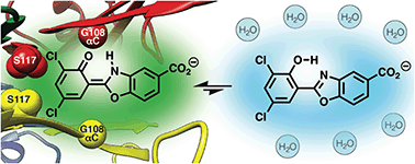 Graphical abstract: A designed protein binding-pocket to control excited-state intramolecular proton transfer fluorescence