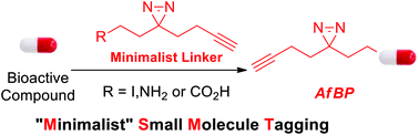 Graphical abstract: Expanding the “minimalist” small molecule tagging approach to different bioactive compounds