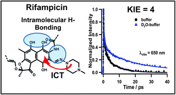 Graphical abstract: Ultrafast dynamics of the antibiotic Rifampicin in solution