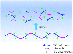 Graphical abstract: Poly(ester)–poly(silyl methacrylate) copolymers: synthesis and hydrolytic degradation kinetics