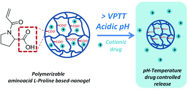 Graphical abstract: An l-proline based thermoresponsive and pH-switchable nanogel as a drug delivery vehicle
