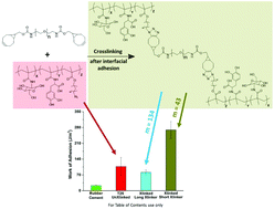 Graphical abstract: Synthesis and adhesion control of glucose-based bioadhesive via strain-promoted azide–alkyne cycloaddition