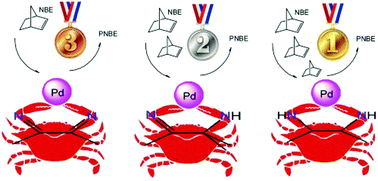 Graphical abstract: Synthesis and characterization of α-diamine palladium complexes and insight into hybridization effects of nitrogen donor atoms on norbornene (co)polymerizations