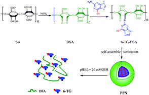 Graphical abstract: pH and reduction-activated polymeric prodrug nanoparticles based on a 6-thioguanine-dialdehyde sodium alginate conjugate for enhanced intracellular drug release in leukemia