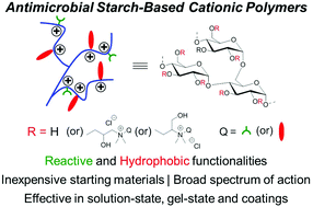 Graphical abstract: Functional cationic derivatives of starch as antimicrobial agents
