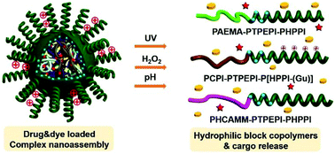 Graphical abstract: Facile fabrication of positively-charged helical poly(phenyl isocyanide) modified multi-stimuli-responsive nanoassembly capable of high efficiency cell-penetrating, ratiometric fluorescence imaging, and rapid intracellular drug release