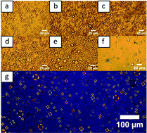 Graphical abstract: A new strategy to elaborate polymer composites via Pickering emulsion polymerization of a wide range of monomers