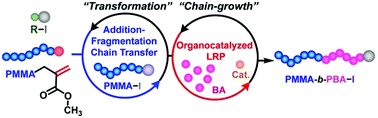 Graphical abstract: Use of poly(methyl methacrylate) with an unsaturated chain end as a macroinitiator precursor in organocatalyzed living radical block polymerization