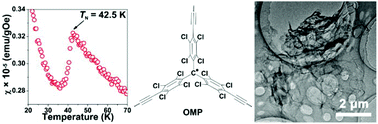 Graphical abstract: Antiferromagnetism in two-dimensional polyradical nanosheets