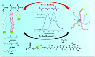 Graphical abstract: Synthesis of multifunctional miktoarm star polymers via an RGD peptide-based RAFT agent