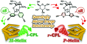 Graphical abstract: Helicity control of π-conjugated foldamers containing d-glucose-based single enantiomeric units as a chiral source
