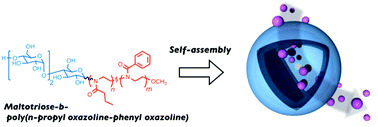 Graphical abstract: Intrinsically permeable polymer vesicles based on carbohydrate-conjugated poly(2-oxazoline)s synthesized using a carbohydrate-based initiator system