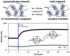 Graphical abstract: Modulating stiffness with photo-switchable supramolecular hydrogels