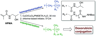 Graphical abstract: Optimizing the Cu-RDRP of N-(2-hydroxypropyl) methacrylamide toward biomedical applications